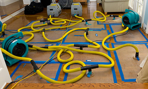 Professional Crawl Space Water Removal technician working in Hudson, TX